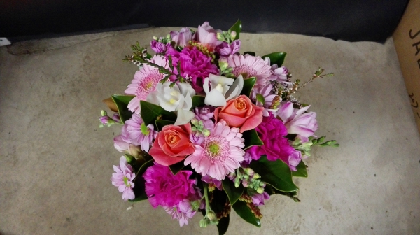 Posy-in-pinks