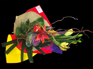 Express-colour
