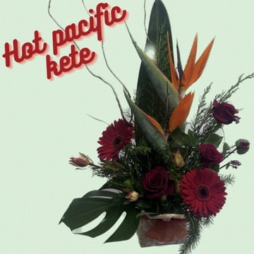 Hot-pacific-kete