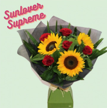 Sunlover-supreme