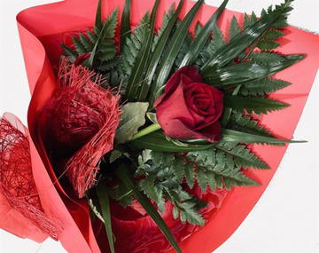 Valentines-single-rose