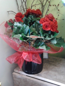 Plant