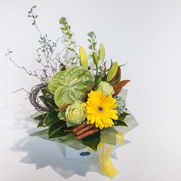 Yellow-and-green-box