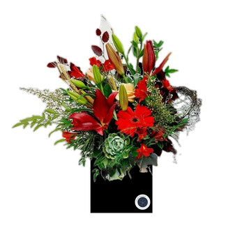 Red-arrangement