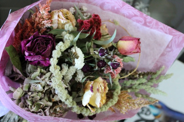 Dried-flower-bq