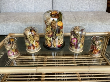 Bright-dried-domes