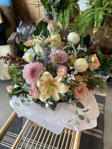 Boxed-seasonal-pastels