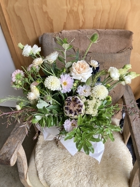 Boxed-seasonal-whites