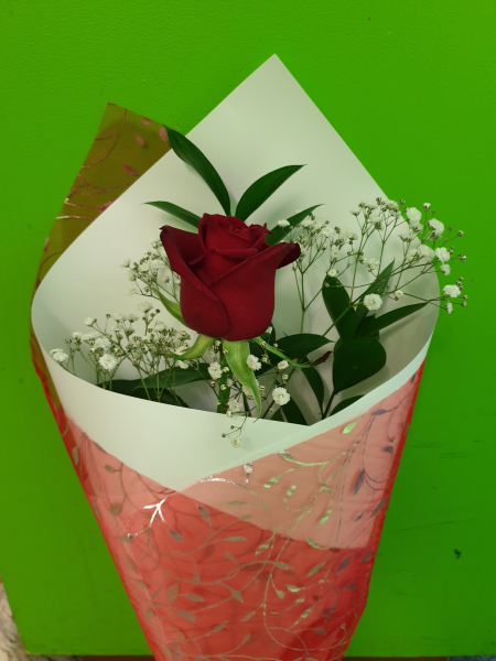 Single-red-rose