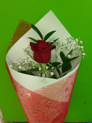 Single-red-rose
