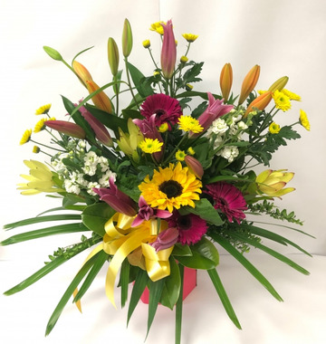 Large-bright-waterbox