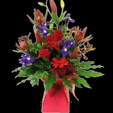 Mixed-red-waterbox