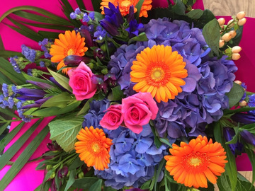 Brighten-up-my-day