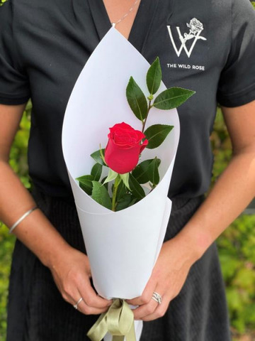 Single-red-rose