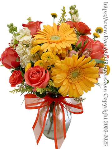 Sunny-blooms
