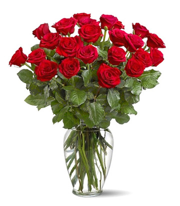 24 red roses vased tf312
