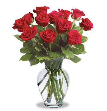 One dozen roses vased tfdrv