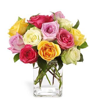 Mixed color roses 4107x