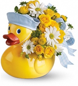 Sailor-duck-boy