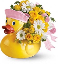 Sailor-duck-girl