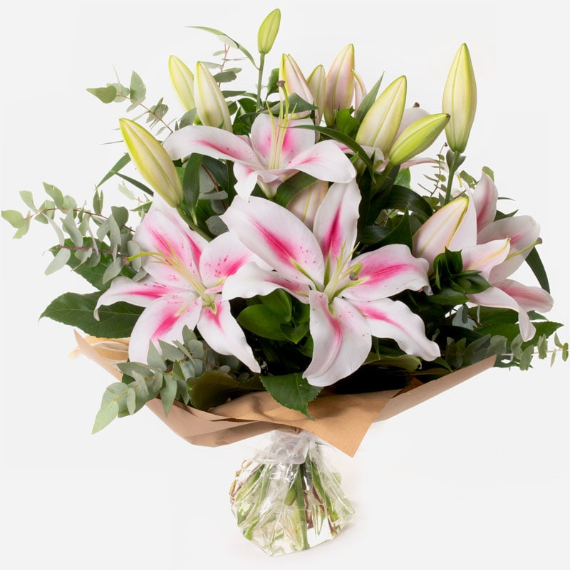 star-gaze-pink-oriental-lilies-hand-tied-bouquet-with-soft-greenery-1