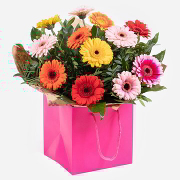 Splash of colour vibrant gerbera bouquet in a hot pink gift bag