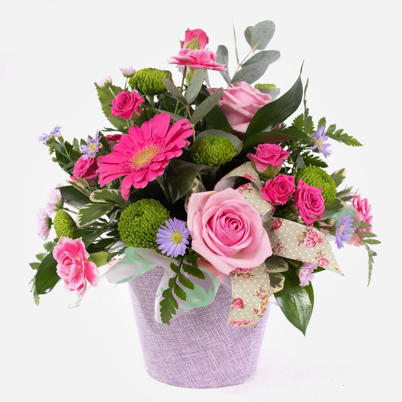 cotton-candy-petite-pot-arrangement-with-pink-roses-gerberas-and-fresh-greens-1