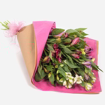 Wrap of colour bouquet with mixed alstroemeria in kraft paper