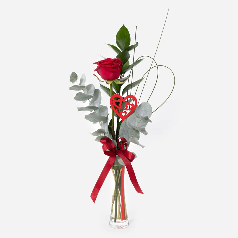 A little treasure single red rose in a glass vase with heart pick and red bow a little treasure single red rose in a glass vase with heart pick and red bow a little treasure single red rose in a glass vase with heart pick and red bow a little treasure sin