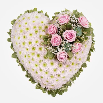 Eco friendly heart tribute with pale pink chrysanthemums and roses on a foliage base