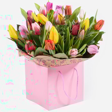 Tulip temptations-pink gift bag with a bouquet of colourful tulips pink gift bag with a bouquet of colourful tulips pink gift bag with a bouquet of colourful tulips pink gift bag with a bouquet of colourful tulips pink gift bag with a bouquet of colourful