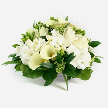 Compact posy of white roses freesia and green skimmia 2