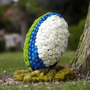 Rugby ball floral tribute with white chrysanthemums and blue accents