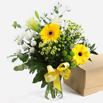 Sunlit shores-yellow gerberas white roses and greenery in a vase with a yellow ribbon yellow gerberas white roses and greenery in a vase with a yellow ribbon 2