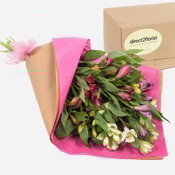 Boxed bouquet of mixed alstroemeria flowers in pink wrap