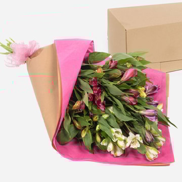 Boxed bouquet of mixed alstroemeria flowers in pink wrap boxed bouquet of mixed alstroemeria flowers in pink wrap 2