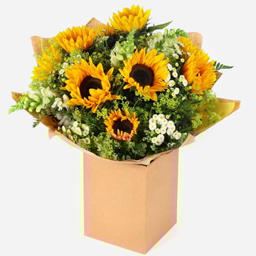 Hand tied sunflower bouquet with white filler flowers and greenery in gift box