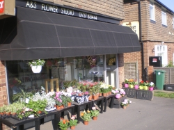 Image of A and S Flower Studio shop front