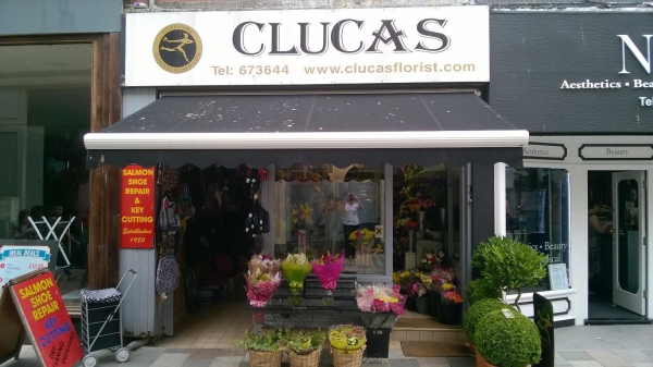 A Clucas