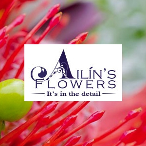Image of Ailins Flowers shop front