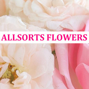 Image of Allsorts Flowers shop front