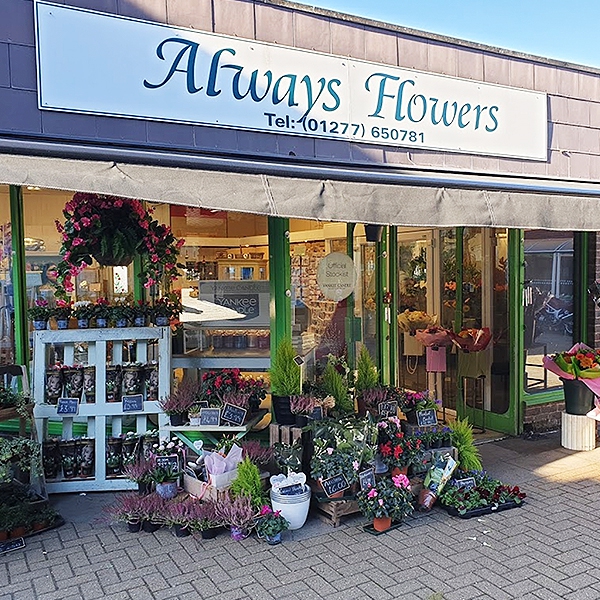 Image of Always Flowers shop front