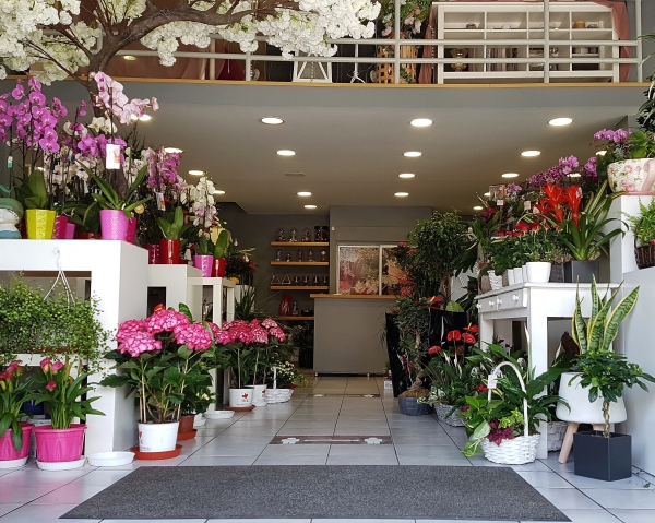 Anthemion Flowers Greece, florist in Egaleo
