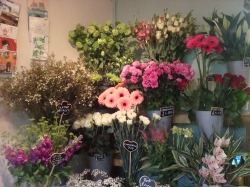 Ashby's Florist