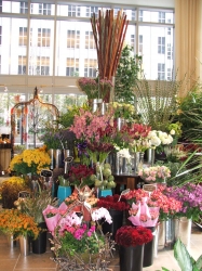 Ashland Addison Florist Co