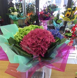 Ashton Flower Lyne