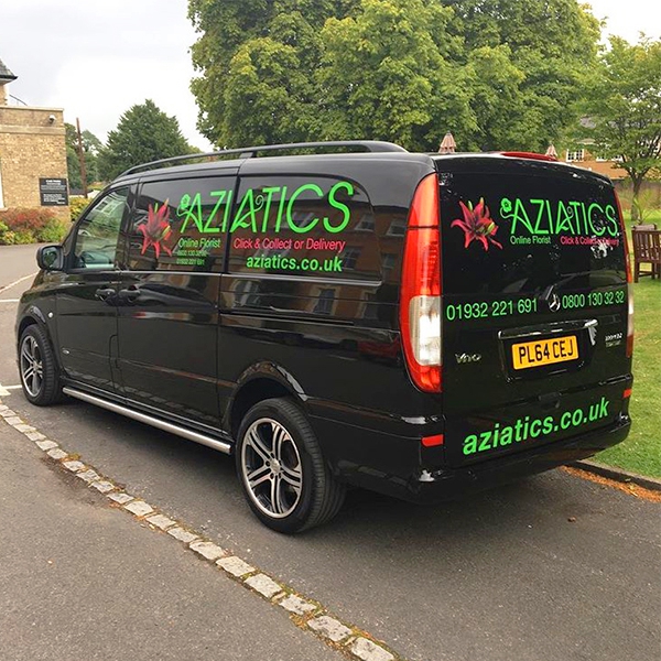 Aziatics