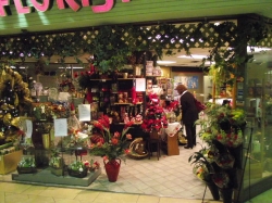 Barrington Florist