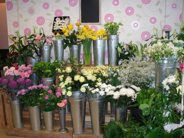 BB Flowers