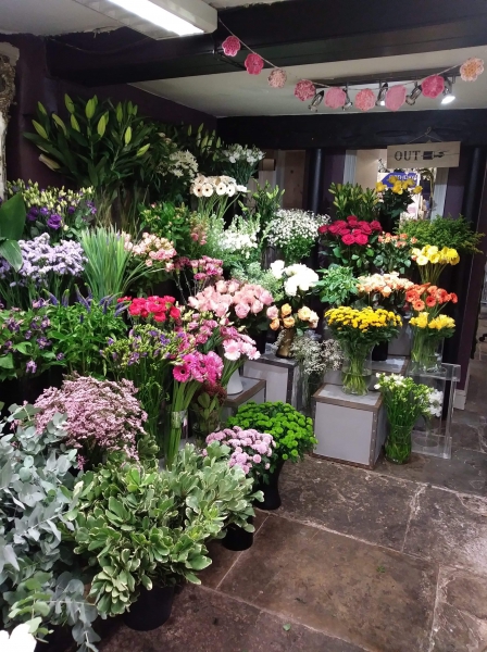 BDG Flowers